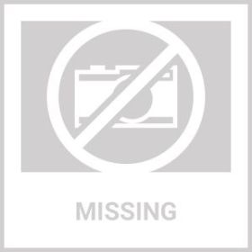 PetSafe Stubborn Dog Fence Collar (REFURBISHED)