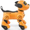 Remote Control Robot Dog Toy, 2.4GHz RC Dog Programmable Smart Interactive Robotic Pet for Kids with Follow Function, Touch & Voice Control