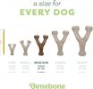 Wishbone Durable Dog Chew Toy for Aggressive Chewers
