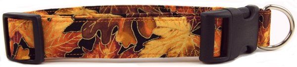 Autumn Leaves Dog Collar (size: X-Small)