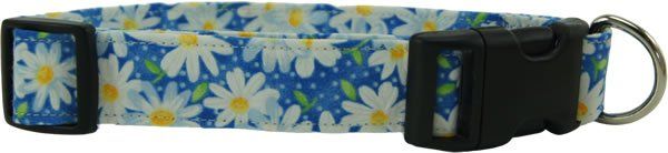 Blue Daisies Dog Collar (size: X-Small)