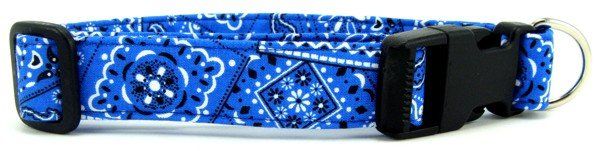 Bright Blue Bandana Dog Collar (size: X-Small)