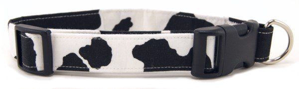 Cow Print Dog Collar (size: X-Small)