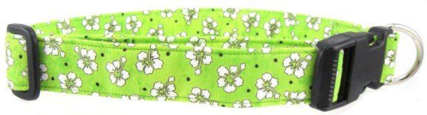 Green Hawaiian Flowers Dog Collar (size: X-Small)