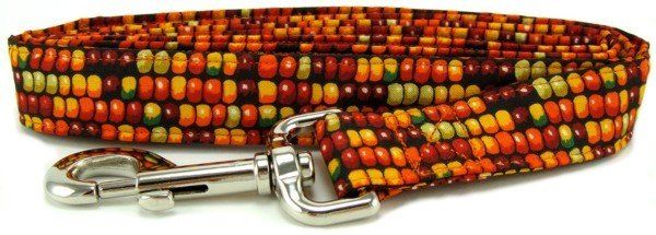 Indian Corn Dog Leash (size: X-Small)