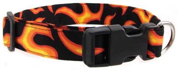 Orange Flame Dog Collar (size: X-Small)