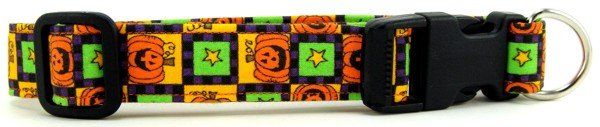 Pumpkin Squares Dog Collar (size: small)