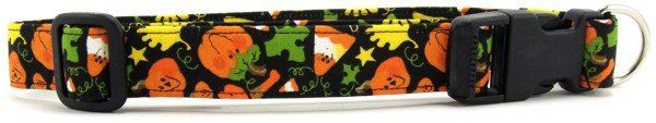 Tossed Halloween Dog Collar (size: X-Small)